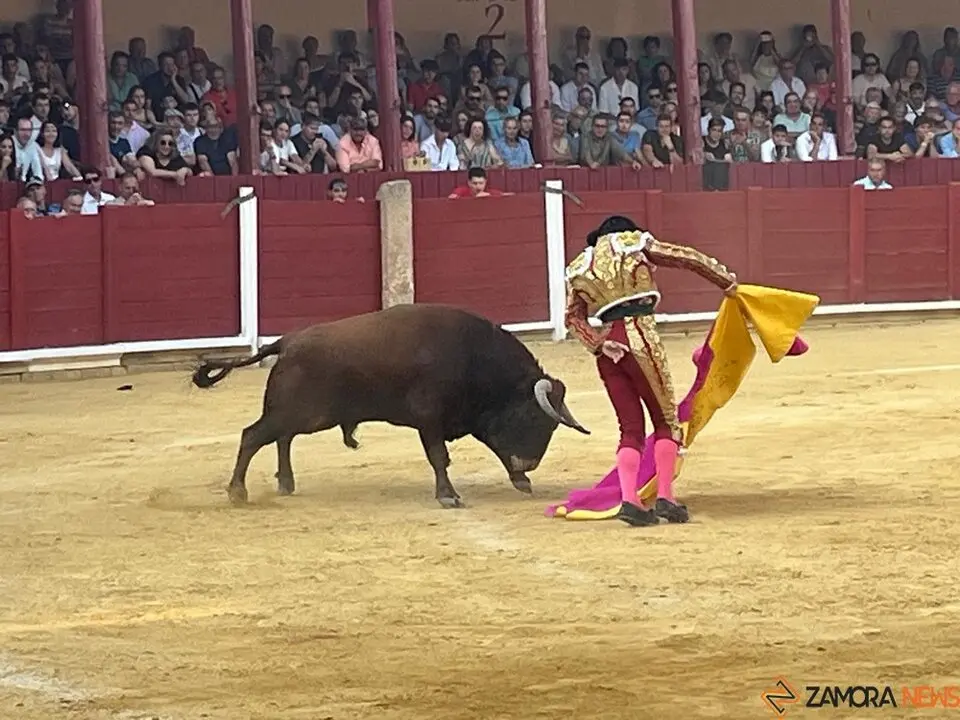 Corrida Toro 2025_15