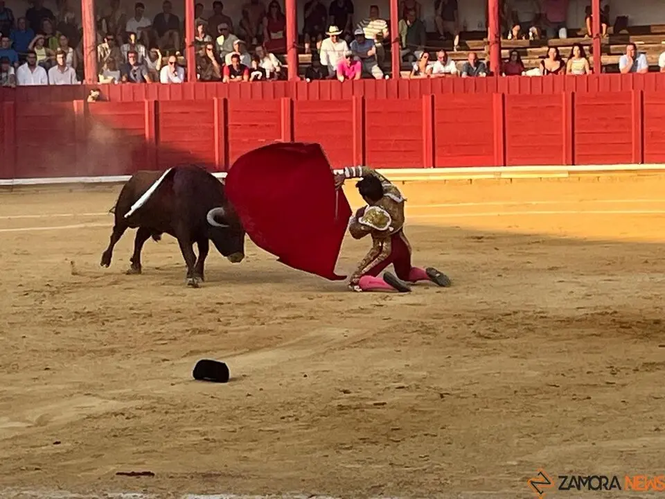 Corrida Toro 2025_16