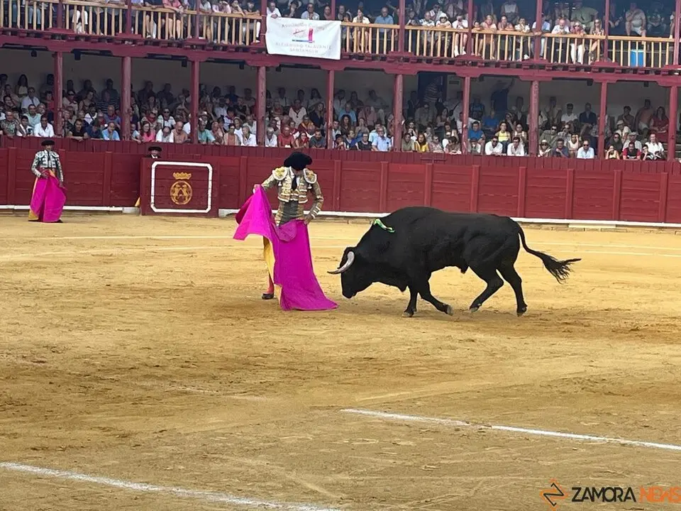 Corrida Toro 2025_17