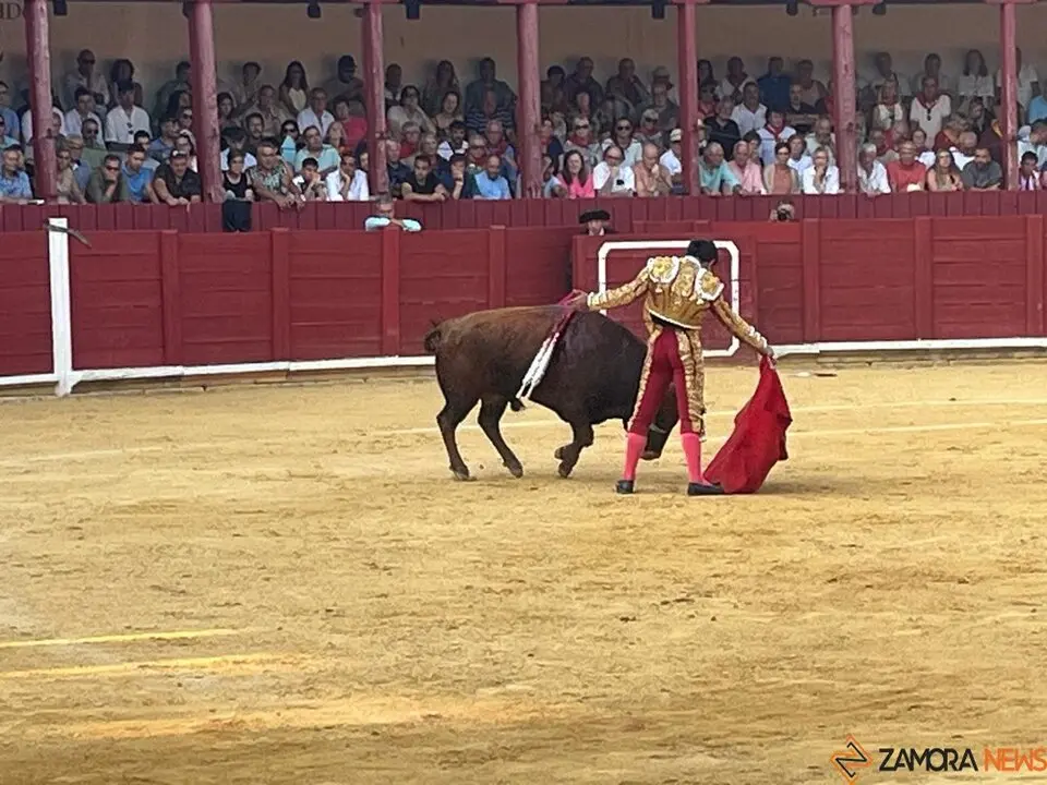 Corrida Toro 2025_18
