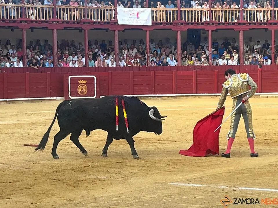 Corrida Toro 2025_19
