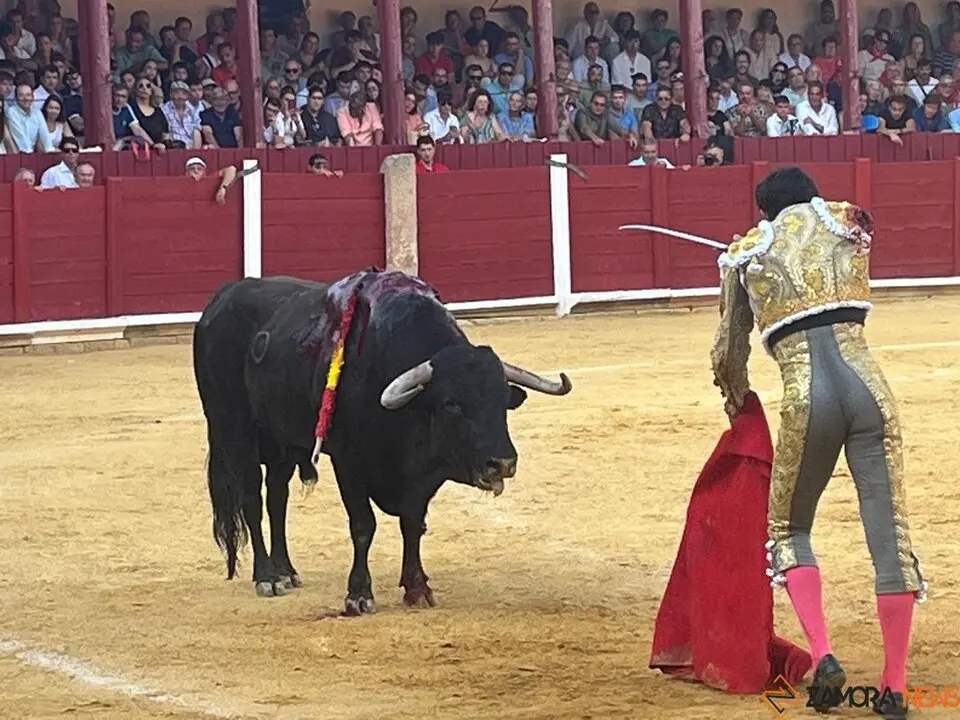 Corrida Toro 2025_22