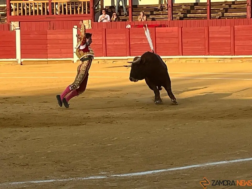 Corrida Toro 2025_24