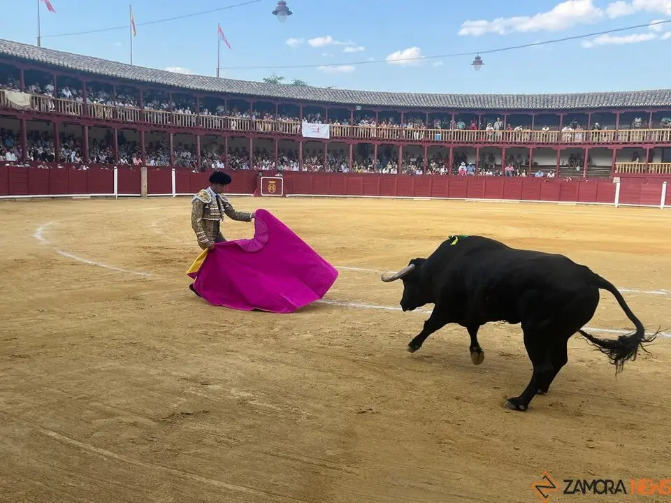 Corrida Toro 2025_26