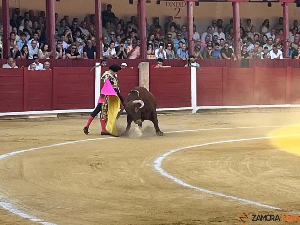 Corrida Toro 2025_25