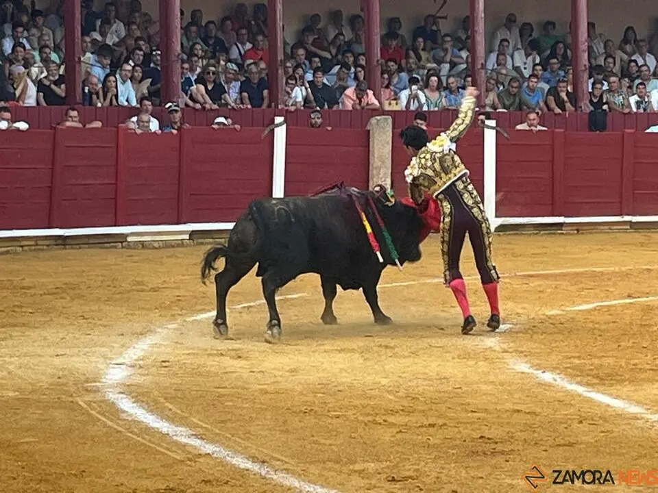 Corrida Toro 2025_27
