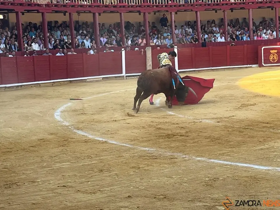 Corrida Toro 2025_28