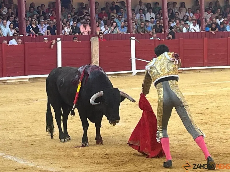 Corrida Toro 2025_29