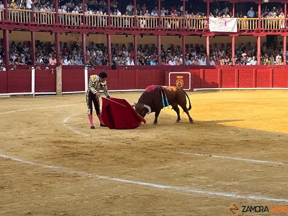 Corrida Toro 2025_31