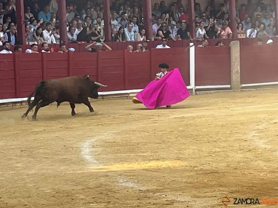 Corrida Toro 2025_34