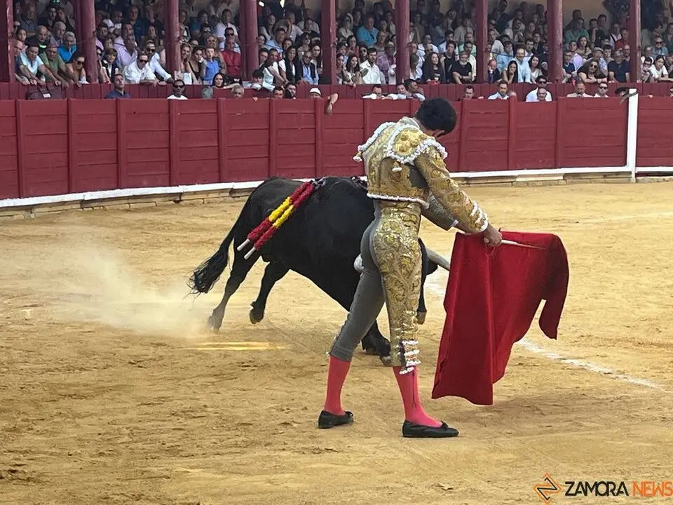 Corrida Toro 2025_35