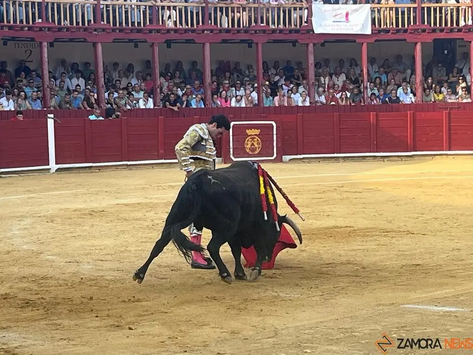 Corrida Toro 2025_37