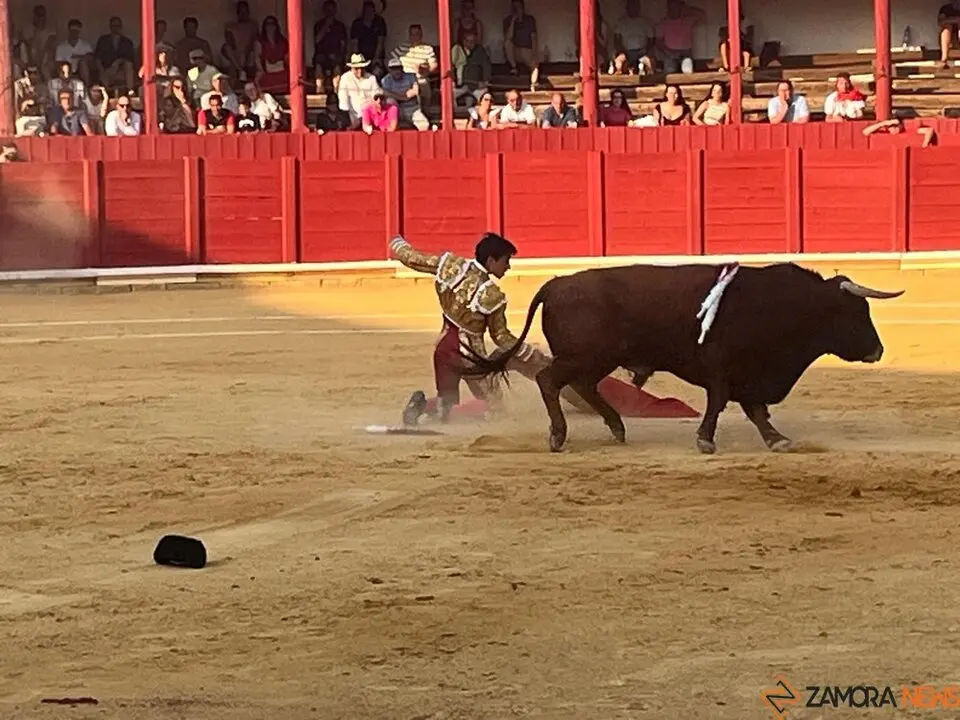 Corrida Toro 2025_38