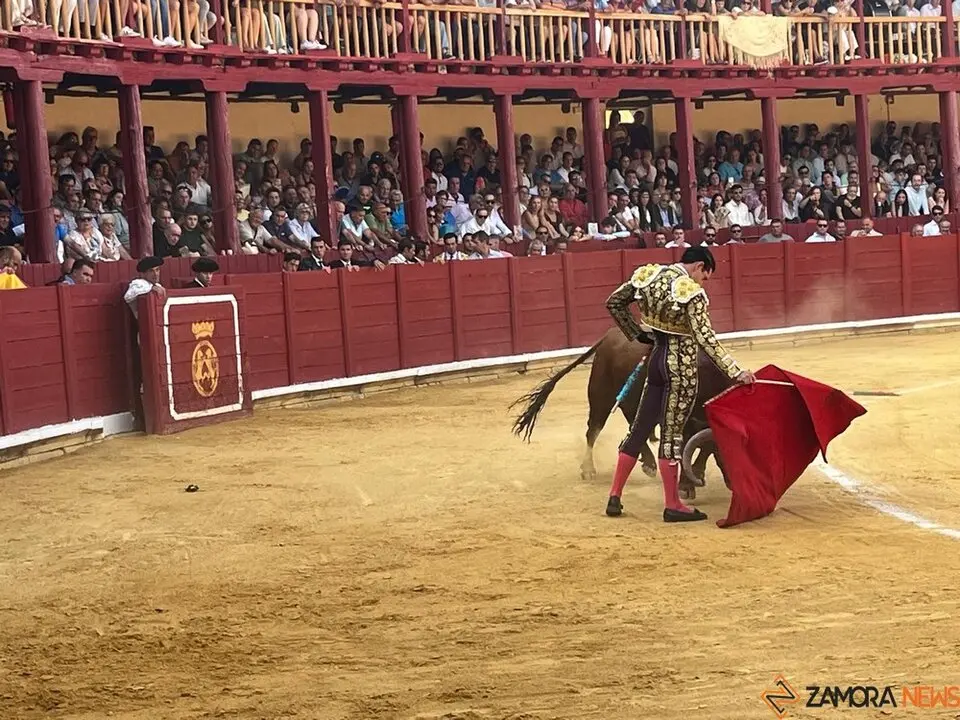 Corrida Toro 2025_39