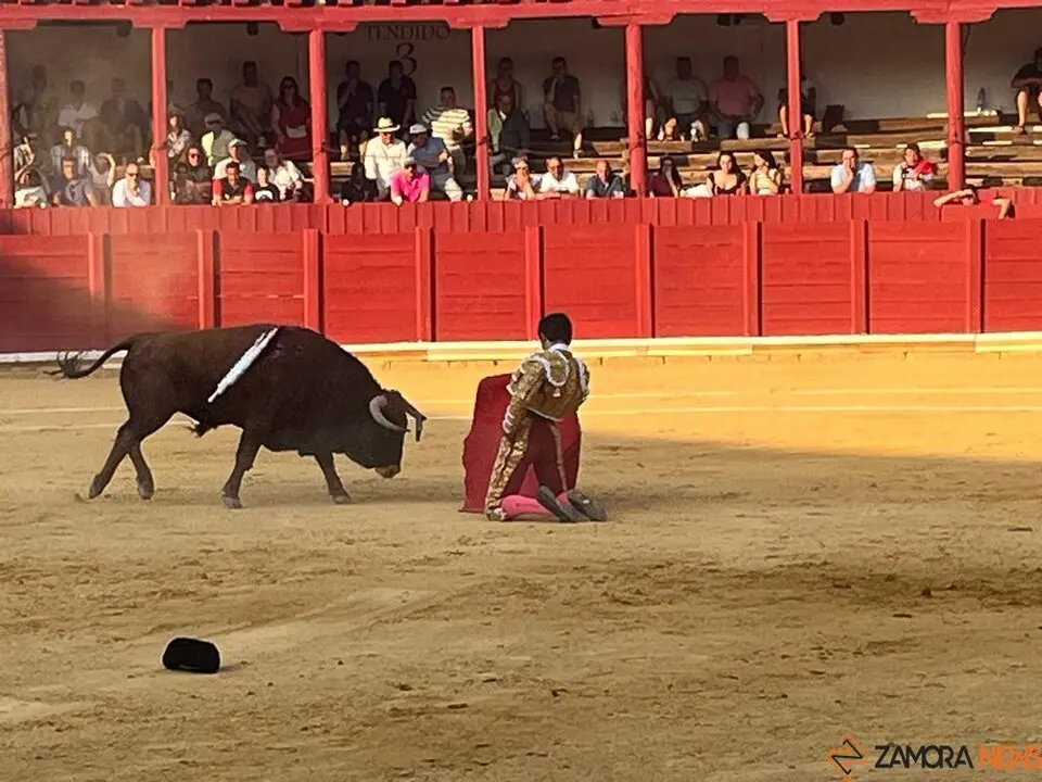 Corrida Toro 2025_40