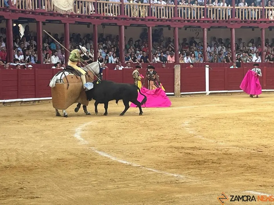 Corrida Toro 2025_41