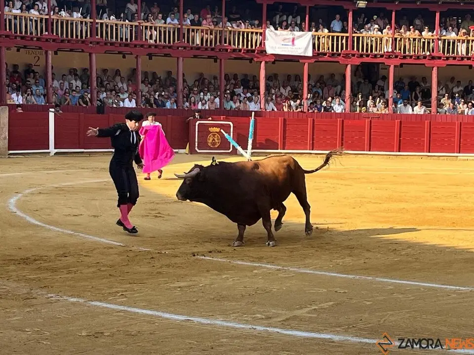 Corrida Toro 2025_43