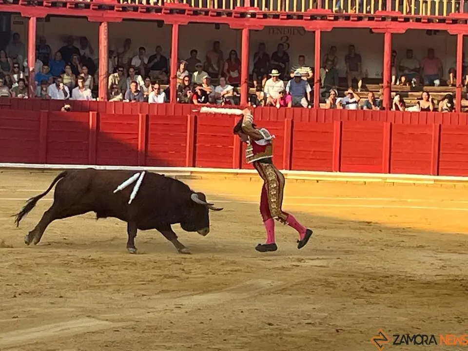 Corrida Toro 2025_46