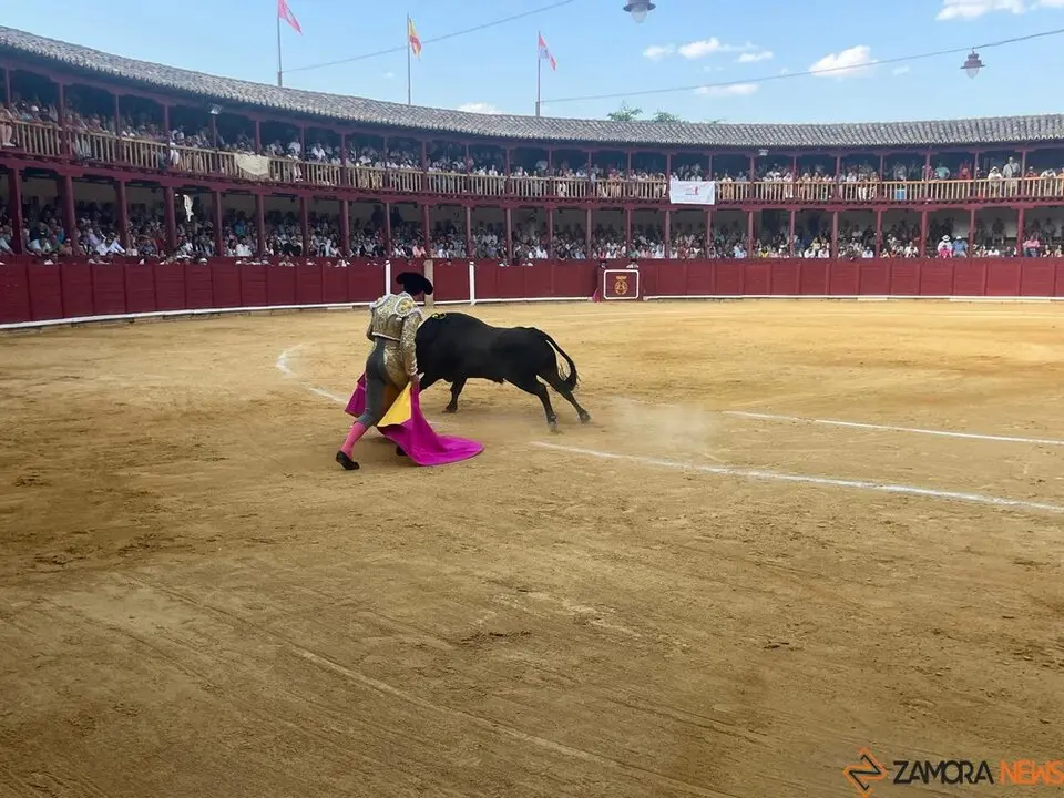Corrida Toro 2025_49