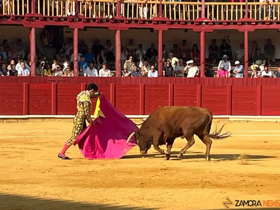 Corrida Toro 2025_50