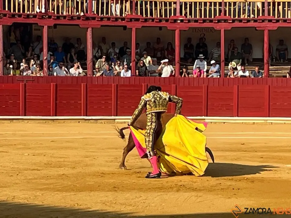 Corrida Toro 2025_52
