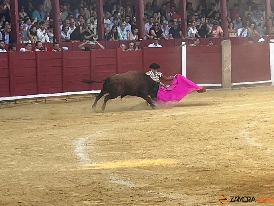 Corrida Toro 2025_53