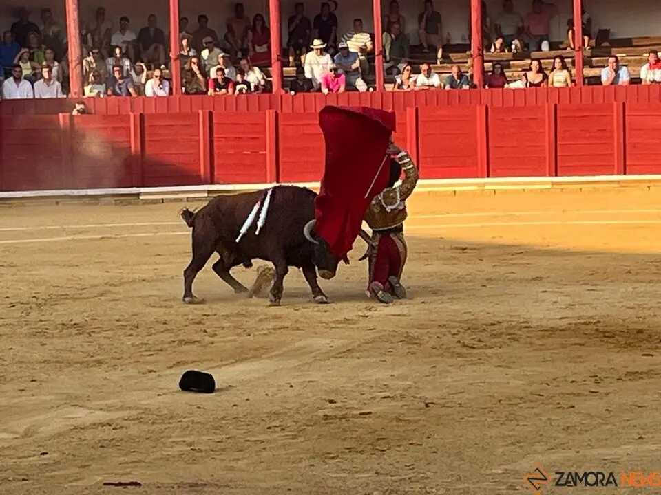 Corrida Toro 2025_55