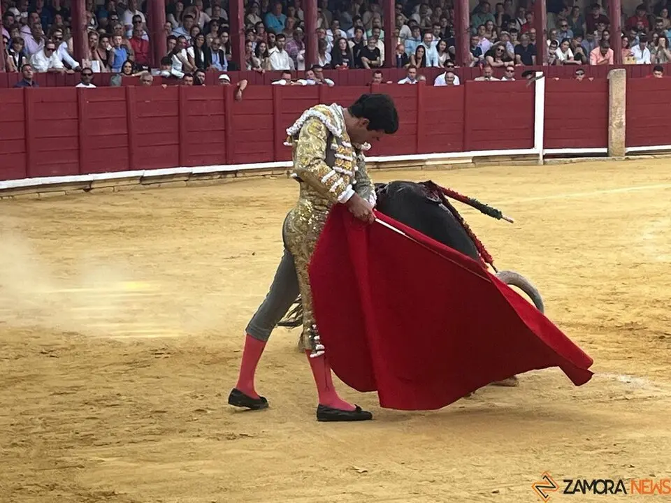 Corrida Toro 2025_54