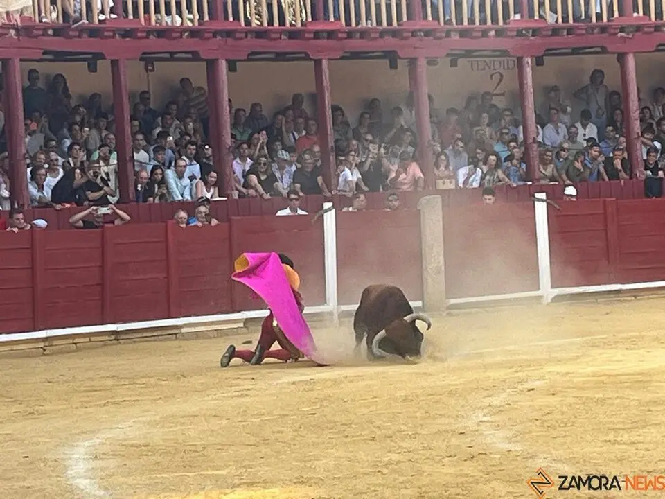 Corrida Toro 2025_56
