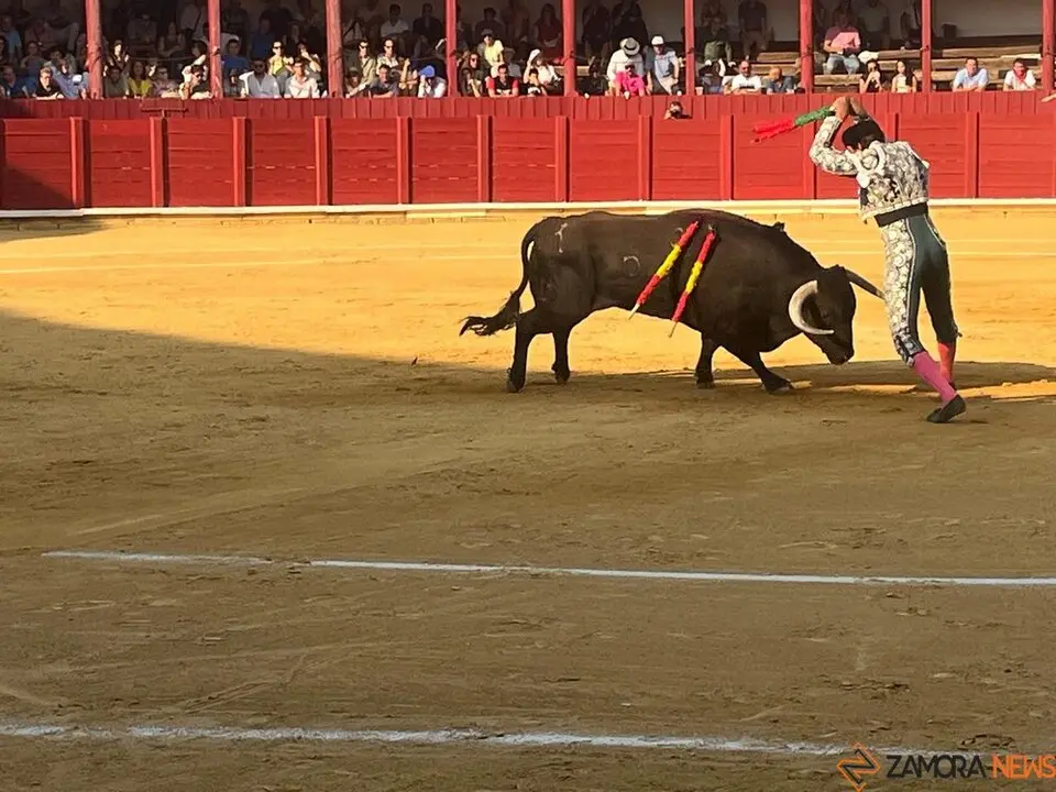 Corrida Toro 2025_57