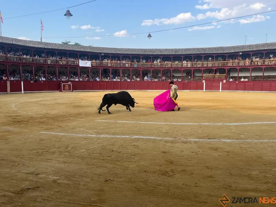 Corrida Toro 2025_58