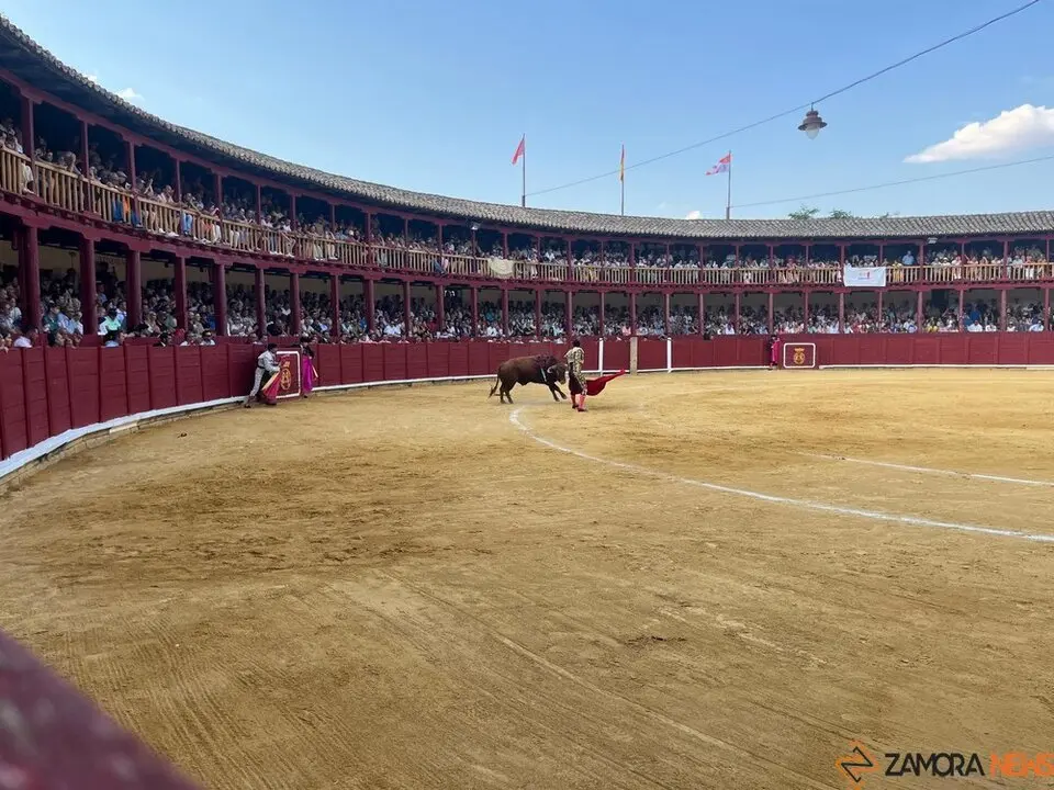 Corrida Toro 2025_60