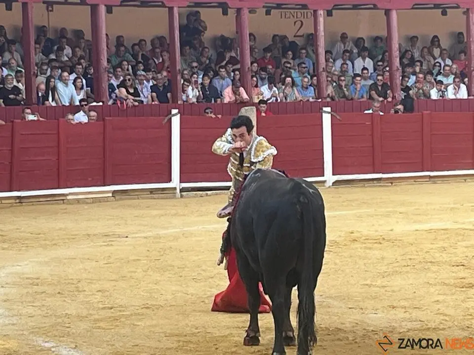 Corrida Toro 2025_59