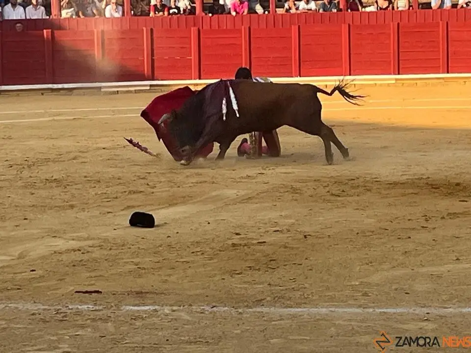 Corrida Toro 2025_61