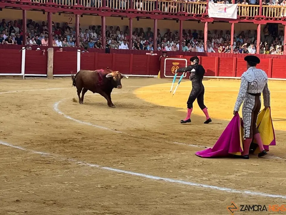 Corrida Toro 2025_62