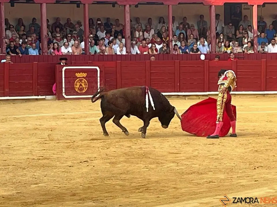 Corrida Toro 2025_63