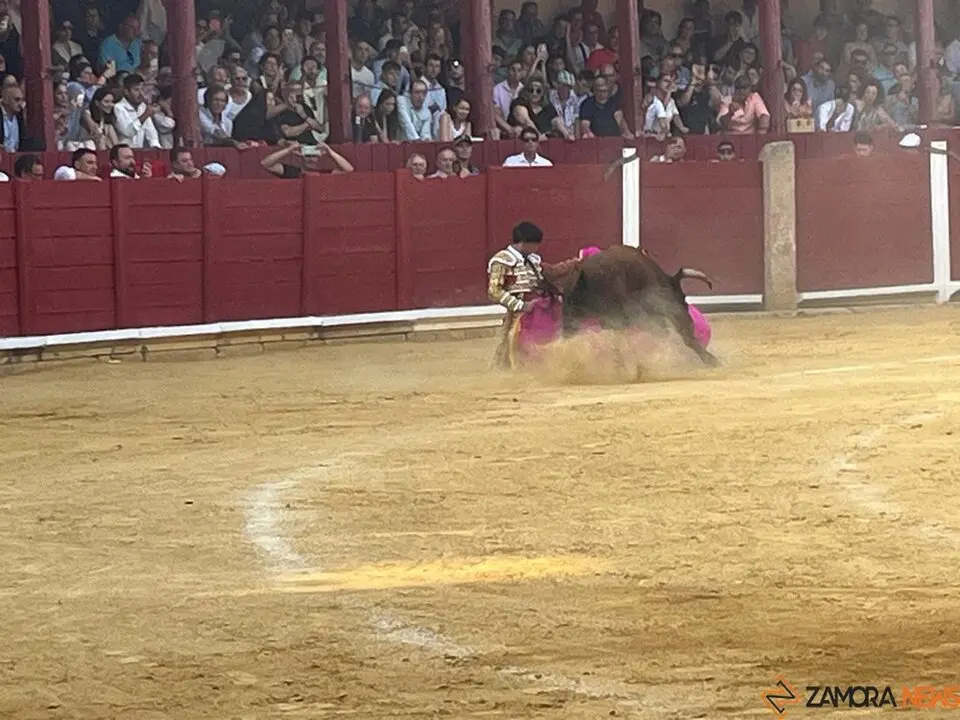 Corrida Toro 2025_64