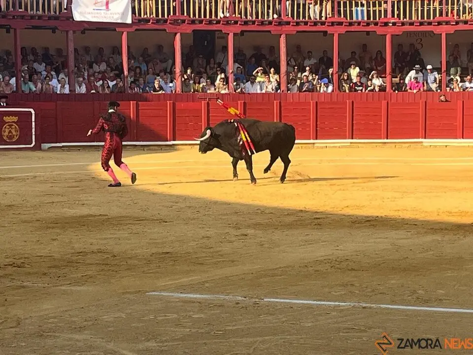 Corrida Toro 2025_67