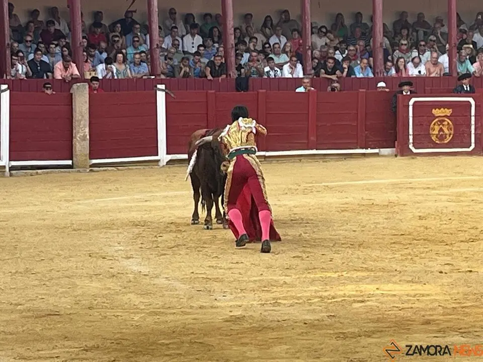 Corrida Toro 2025_68