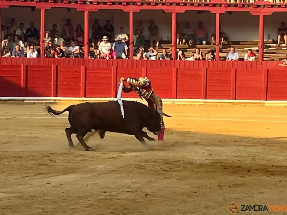 Corrida Toro 2025_69