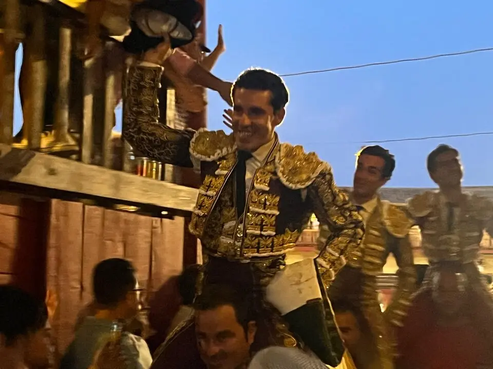 toros toro