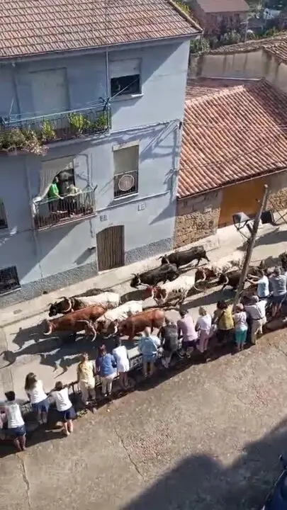 Tercer encierro Fermoselle