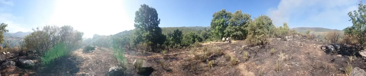 San Ciprián IfPorto