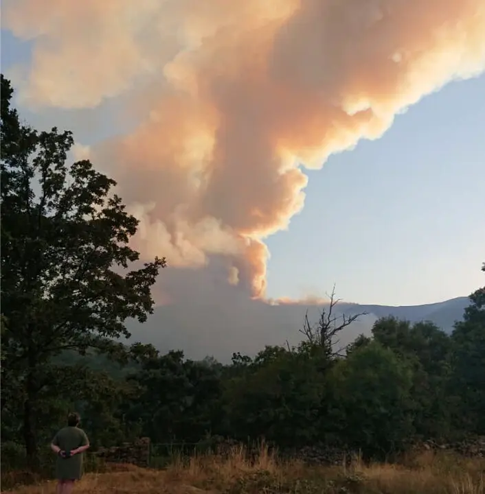 Incendio Porto IFPorto