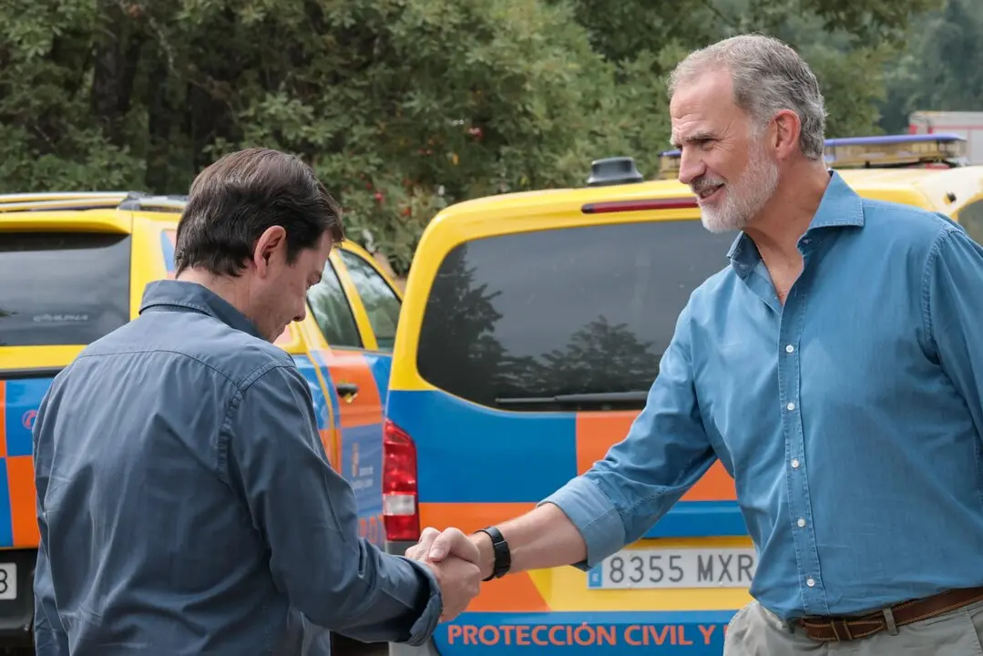 Rey Felipe y Maññueco visitan incendio de Porto
