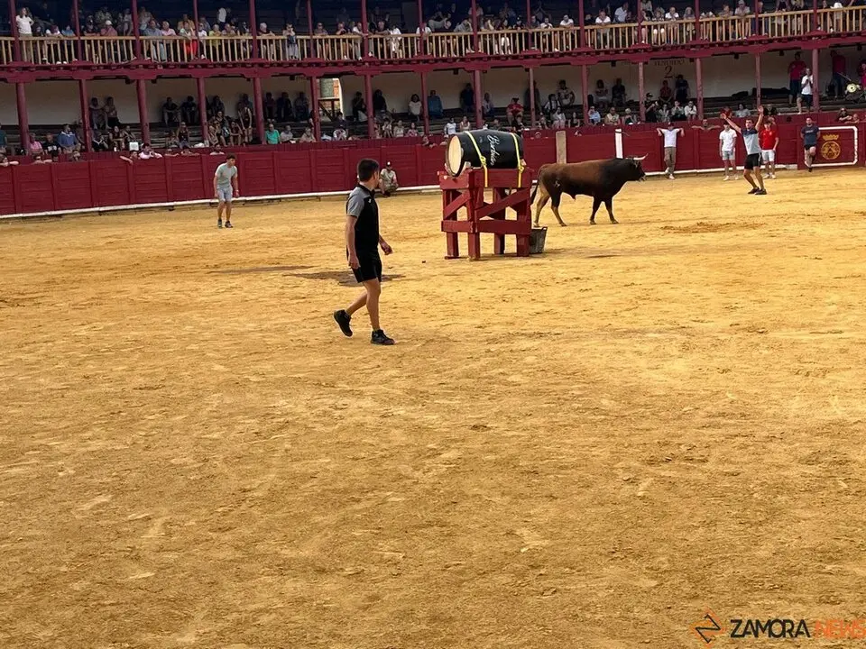 Fuente del Vino Toro 