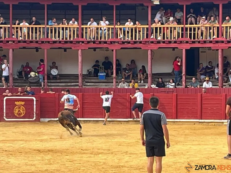 Fuente del Vino Toro _2