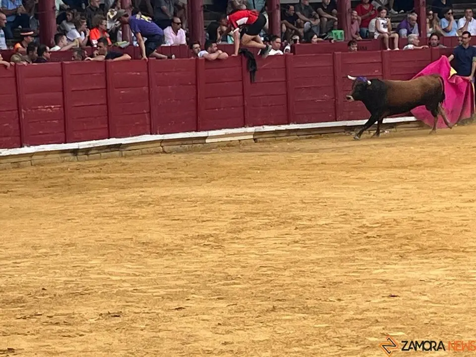 Fuente del Vino Toro _3