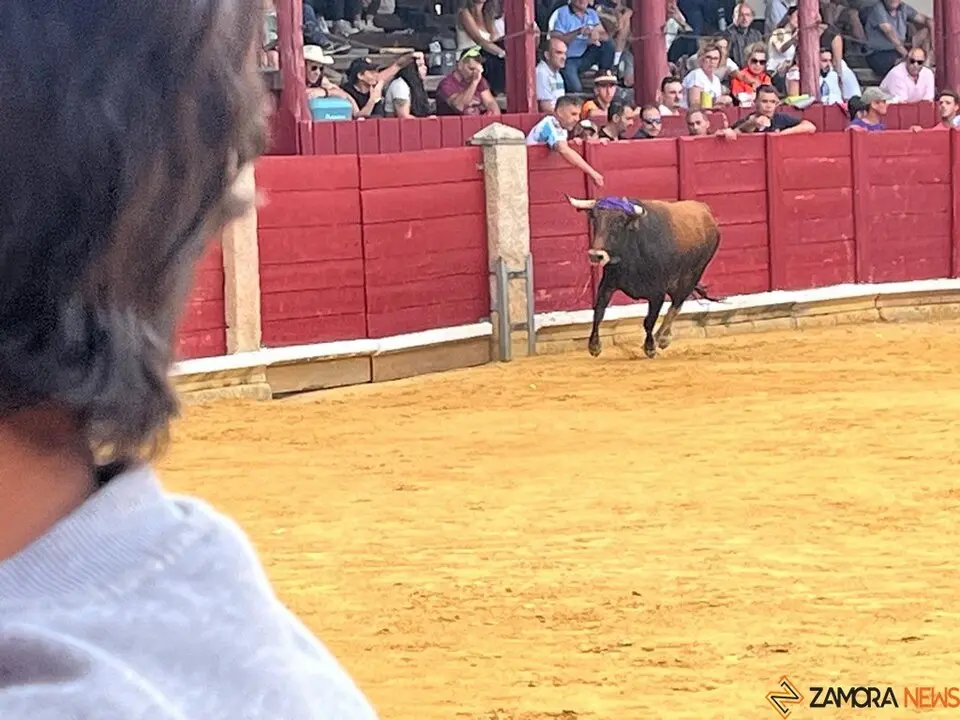 Fuente del Vino Toro _4