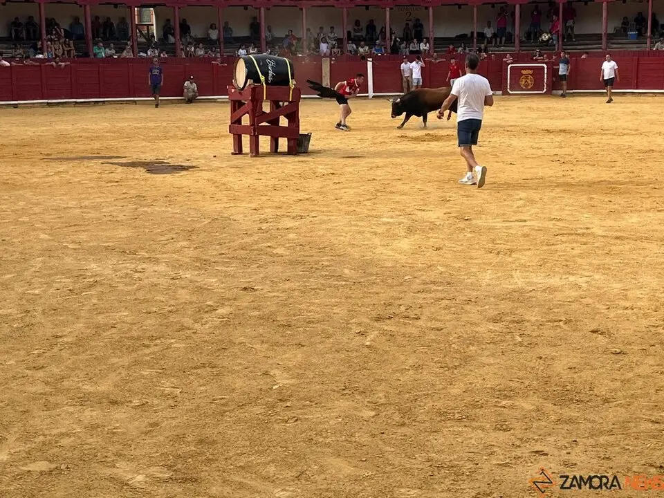 Fuente del Vino Toro _5